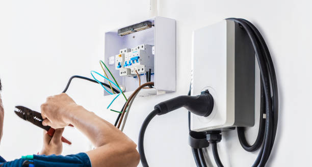 Best Electric Panel Repair  in Naco, AZ