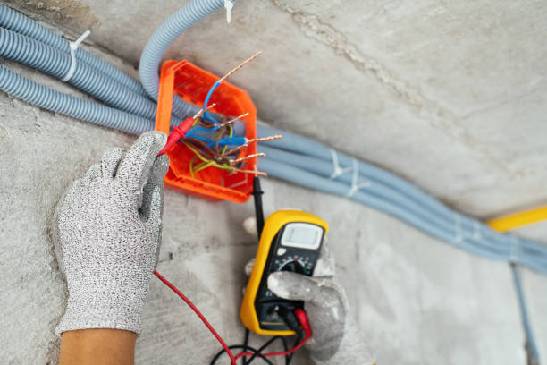 Best Electric Panel Repair  in Naco, AZ